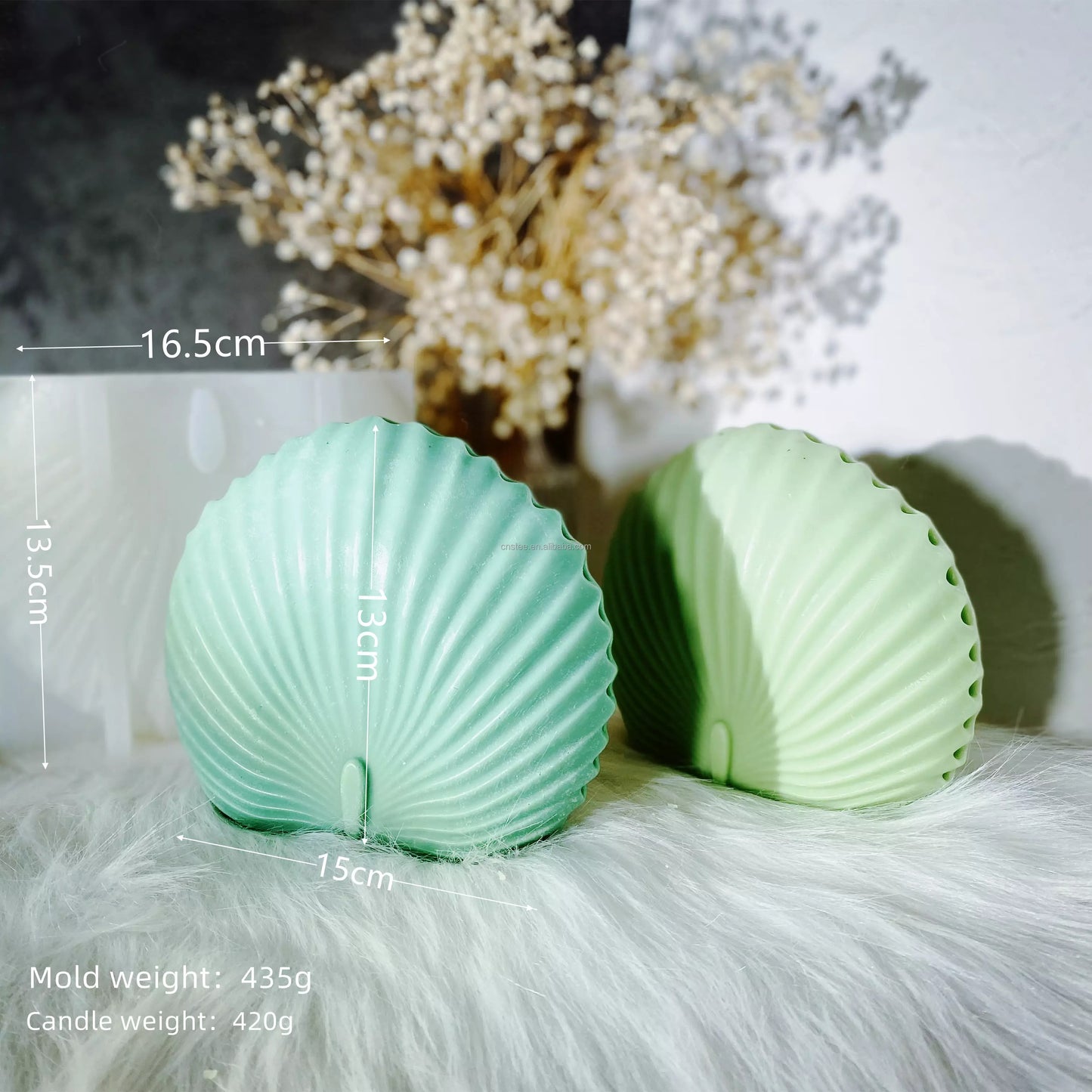 Palm Mold