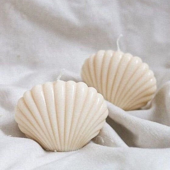 Shell Scallop Mold - Sml
