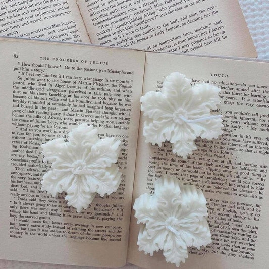 Snowflake Candle Mold