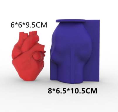 Human Heart Mold