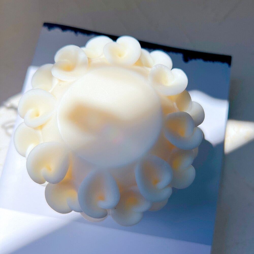 Morning Glory - 3 Sizes